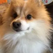 お母ちゃん