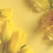 naの画像
