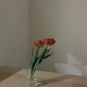 もちの画像