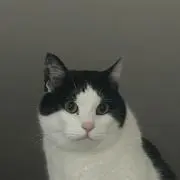 まるの画像
