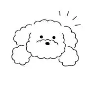a o ✩の画像