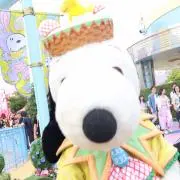 みーとの画像
