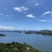 コチミヤの画像