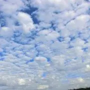 Kerinの画像