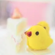シナモン♪の画像