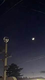 おつきの画像
