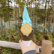 りんごの画像