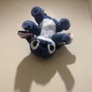 ここの画像