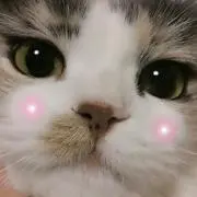 ショコママ