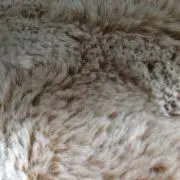 r.