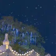 maiの画像