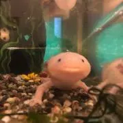 まっちゃん^_^の画像