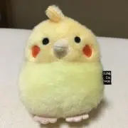 オカメインコの画像