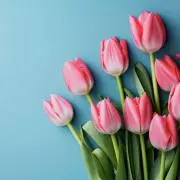 こっこ❤️ 即購入OK!おまとめ歓迎!の画像