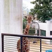 うーの画像