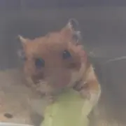 みっちゃん