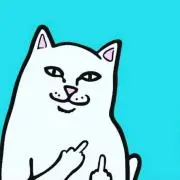 tanemaruの画像