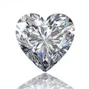 bloom13jp