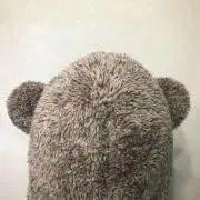 MOCOの画像
