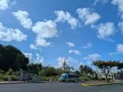 GoGoの画像