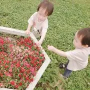 ぽんの画像