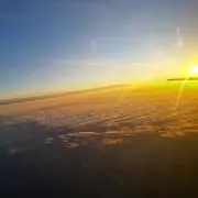 こうこうの画像