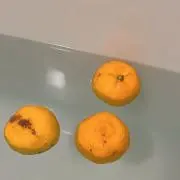 ぽん.の画像