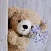 華の画像