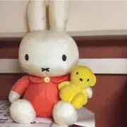 サンマ
