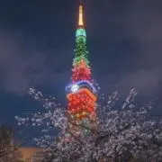 瑠璃色