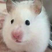 popo❤️の画像