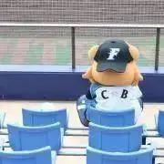 りんご♡プロフ必読
