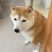 るんるん