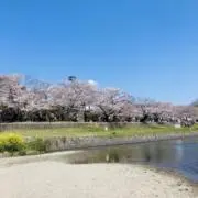 ⭐︎CHIE⭐︎当日〜翌日発送の画像