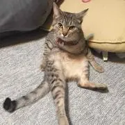 keke