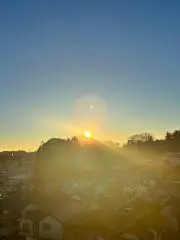 のりの画像