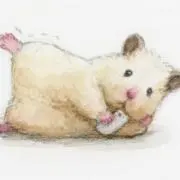 ハムスター