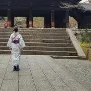 こんの画像