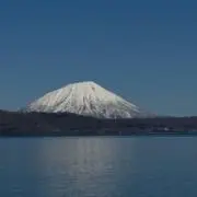 はっちゃんの画像