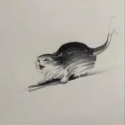 kuri kuriの画像