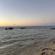 くまきちの画像