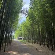 へいむーの画像