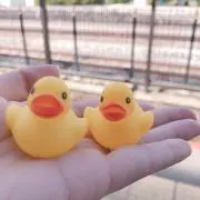 ぽんずの画像