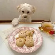 ぴいの画像