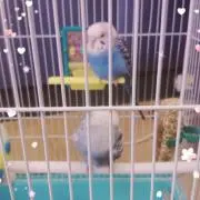 じゅん