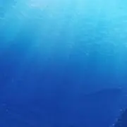 はるの画像