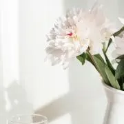 Lapoemの画像