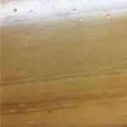 なかの画像