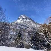 ソラの画像