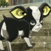 nao